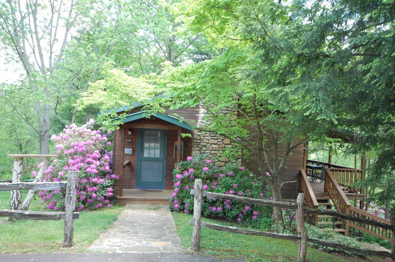 Hotel Mountain Springs Cabins Candler Exterior foto