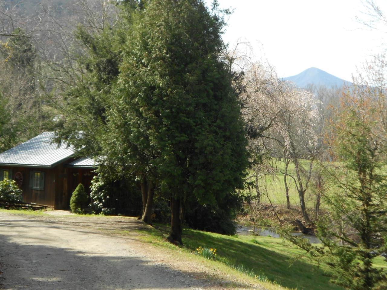 Hotel Mountain Springs Cabins Candler Exterior foto