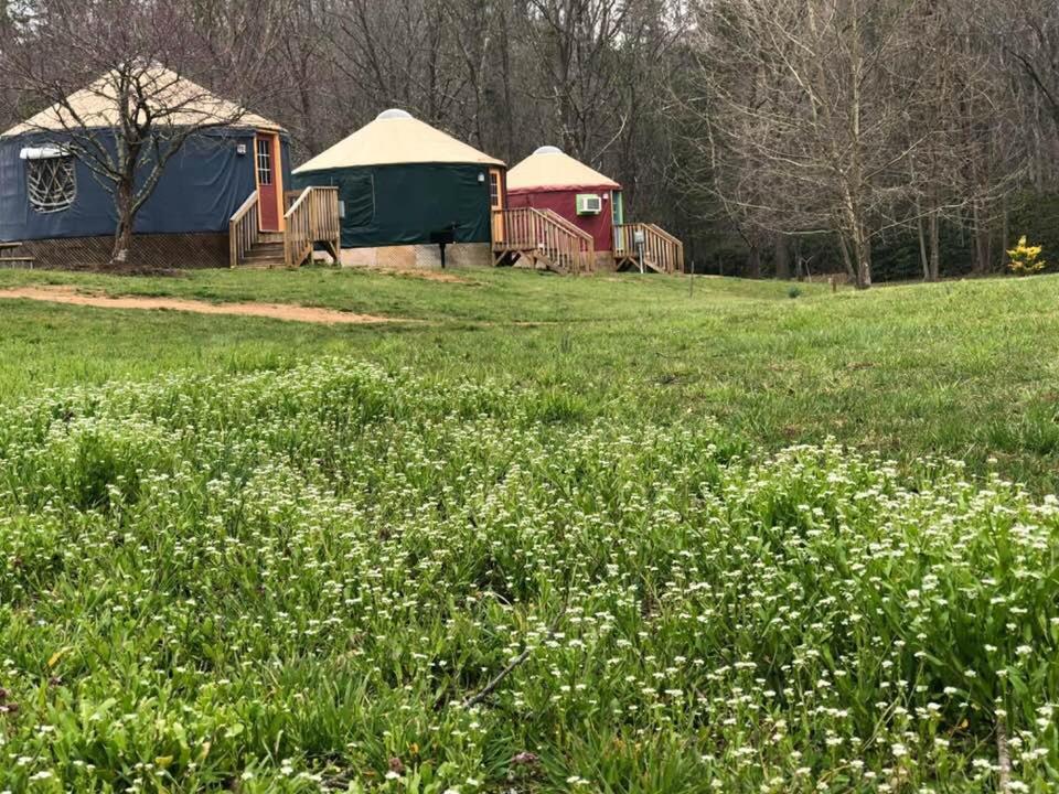 Hotel Mountain Springs Cabins Candler Exterior foto